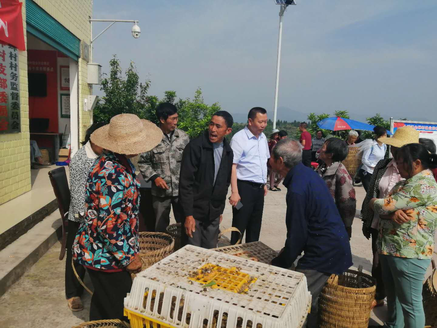 图片2.png